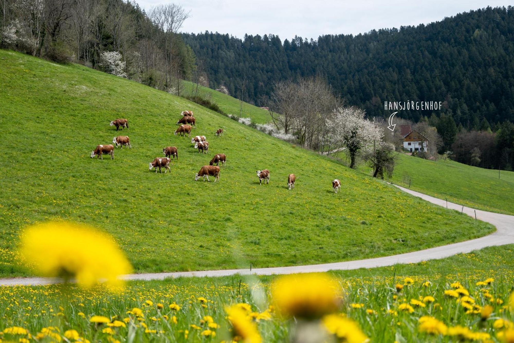 Hansjoergenhof Bioland-Hof ชิลท์อัค ภายนอก รูปภาพ